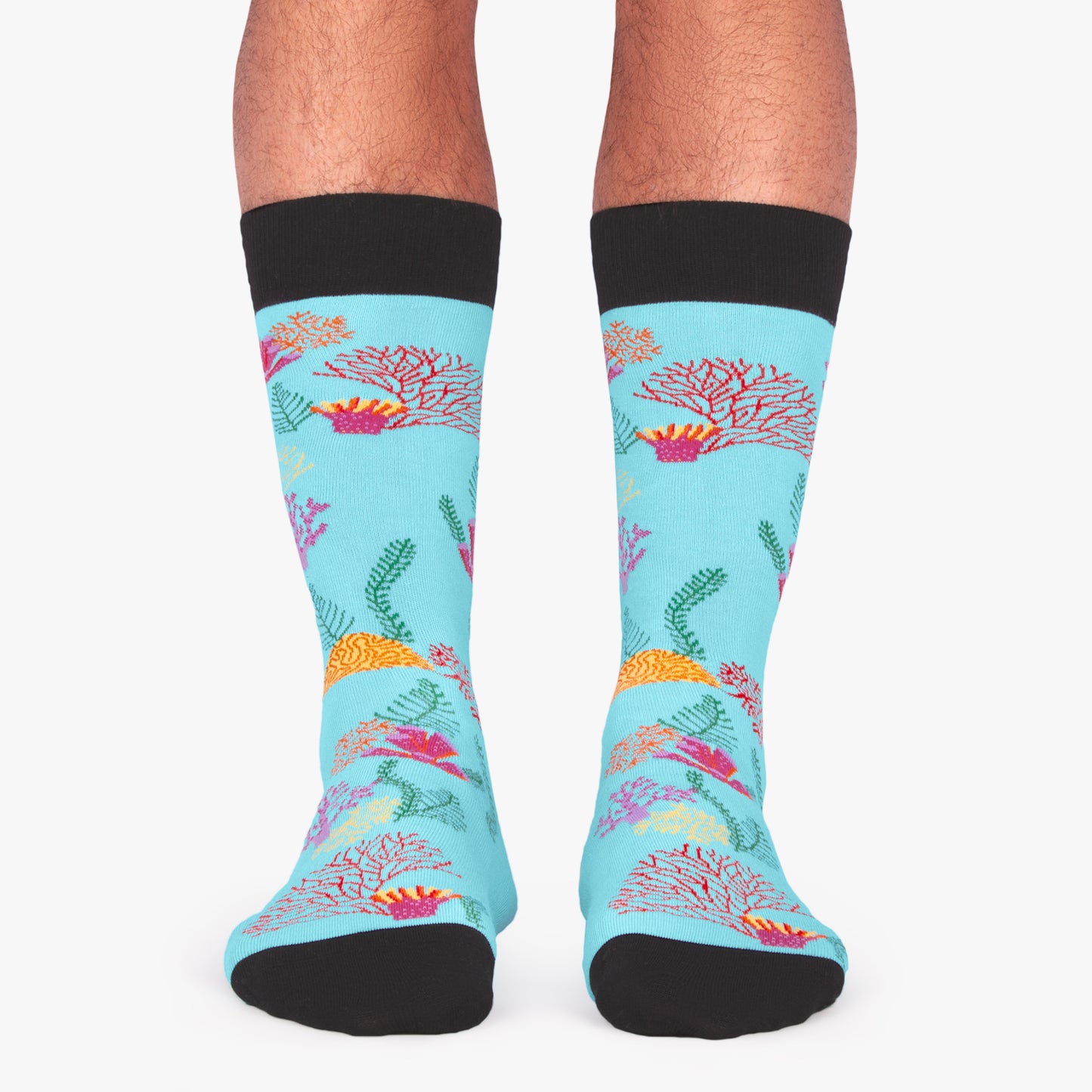 Reef - Sky Blue (1)