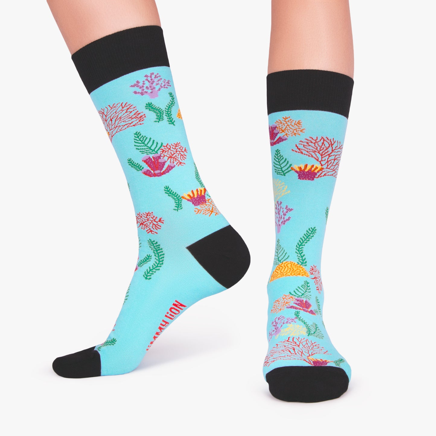 Reef - Sky Blue (2)
