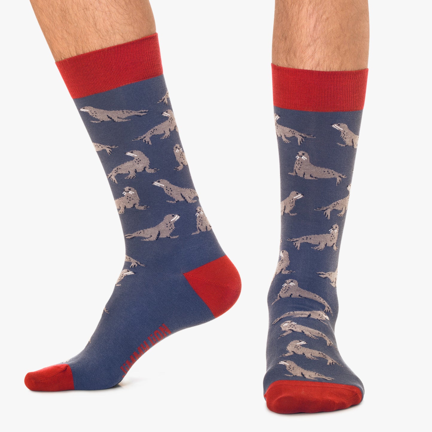 Seals - Dark Blue (1)