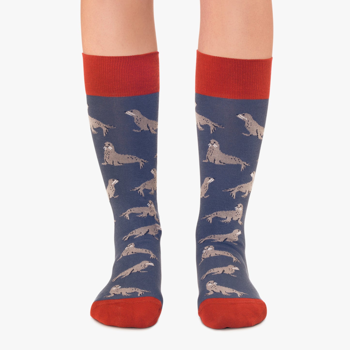 Seals - Dark Blue (2)