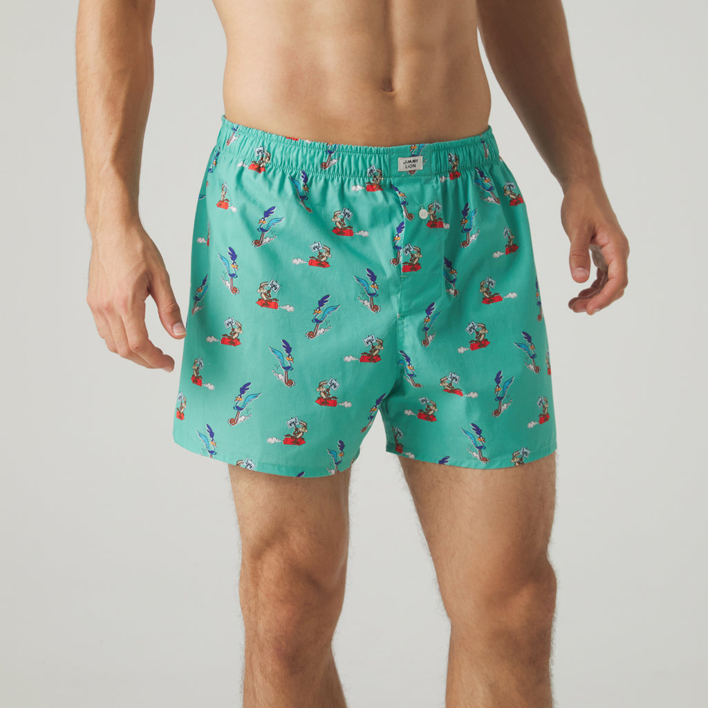 Road Runner vs Coyote Boxer Shorts - Sage Green