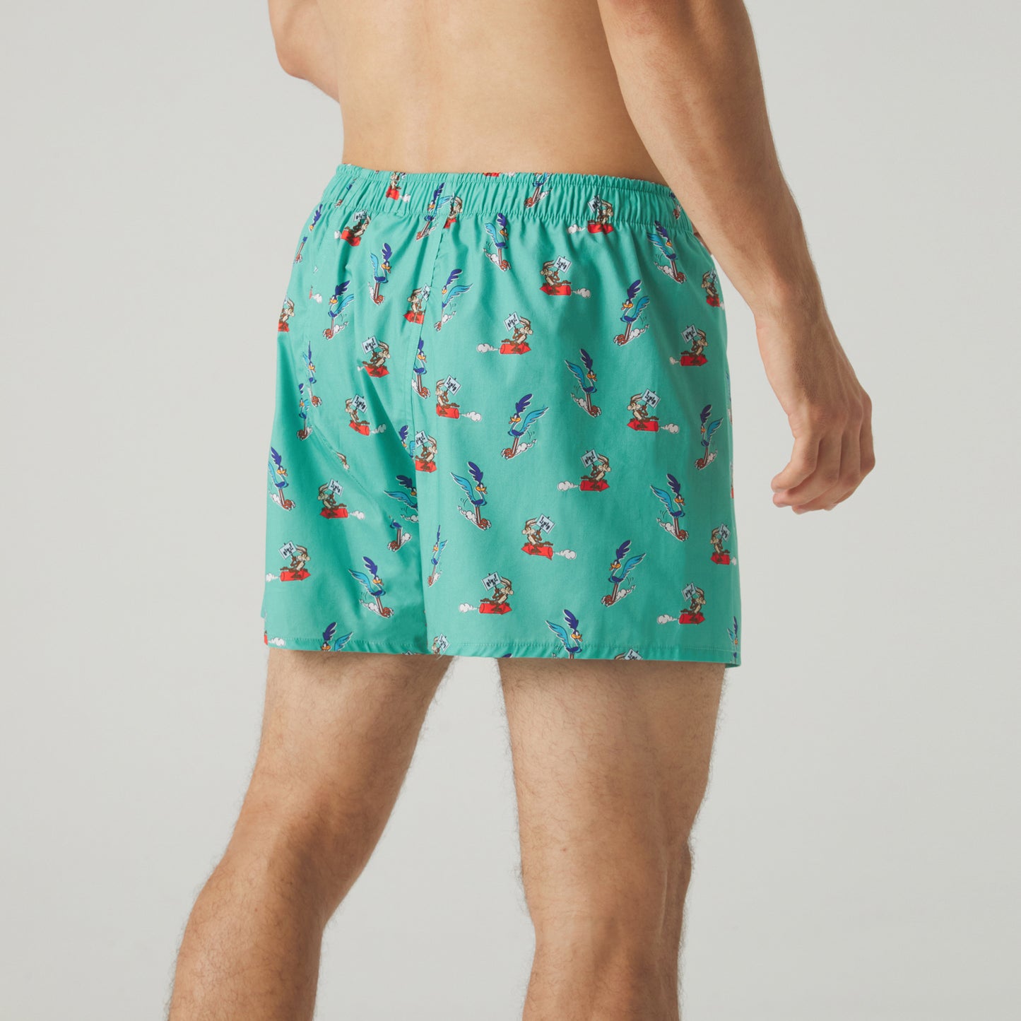 Road Runner vs Coyote Boxer Shorts - Sage Green