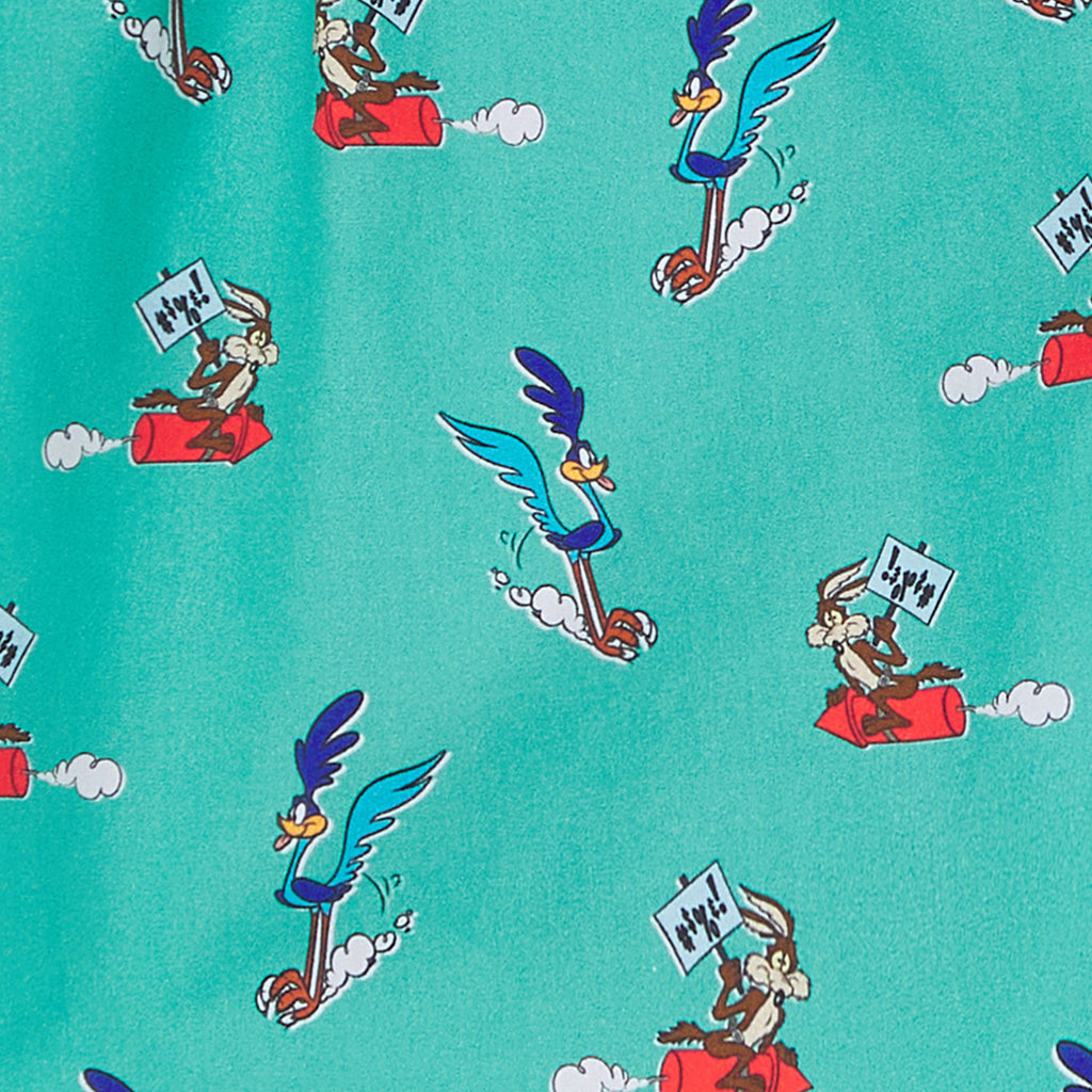 Road Runner vs Coyote Boxer Shorts - Sage Green