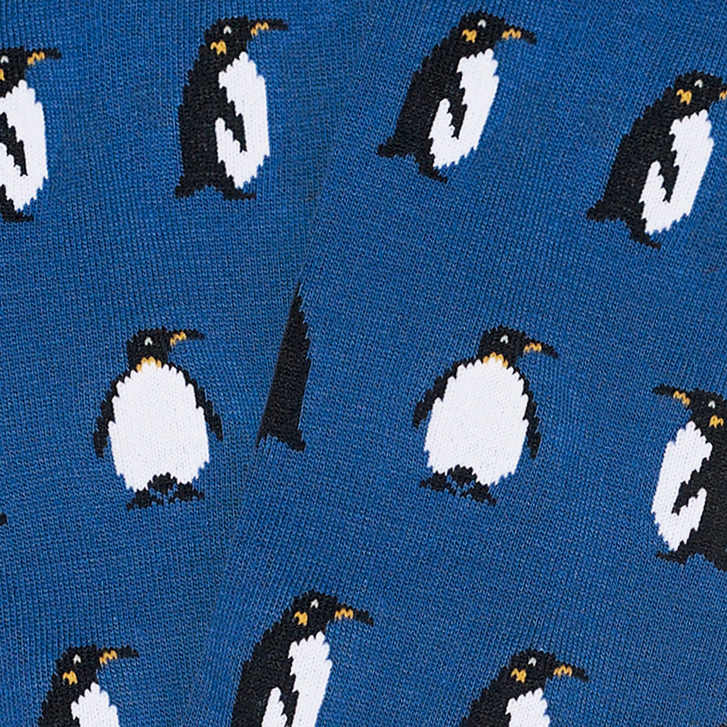 Penguins Family Pack (1)