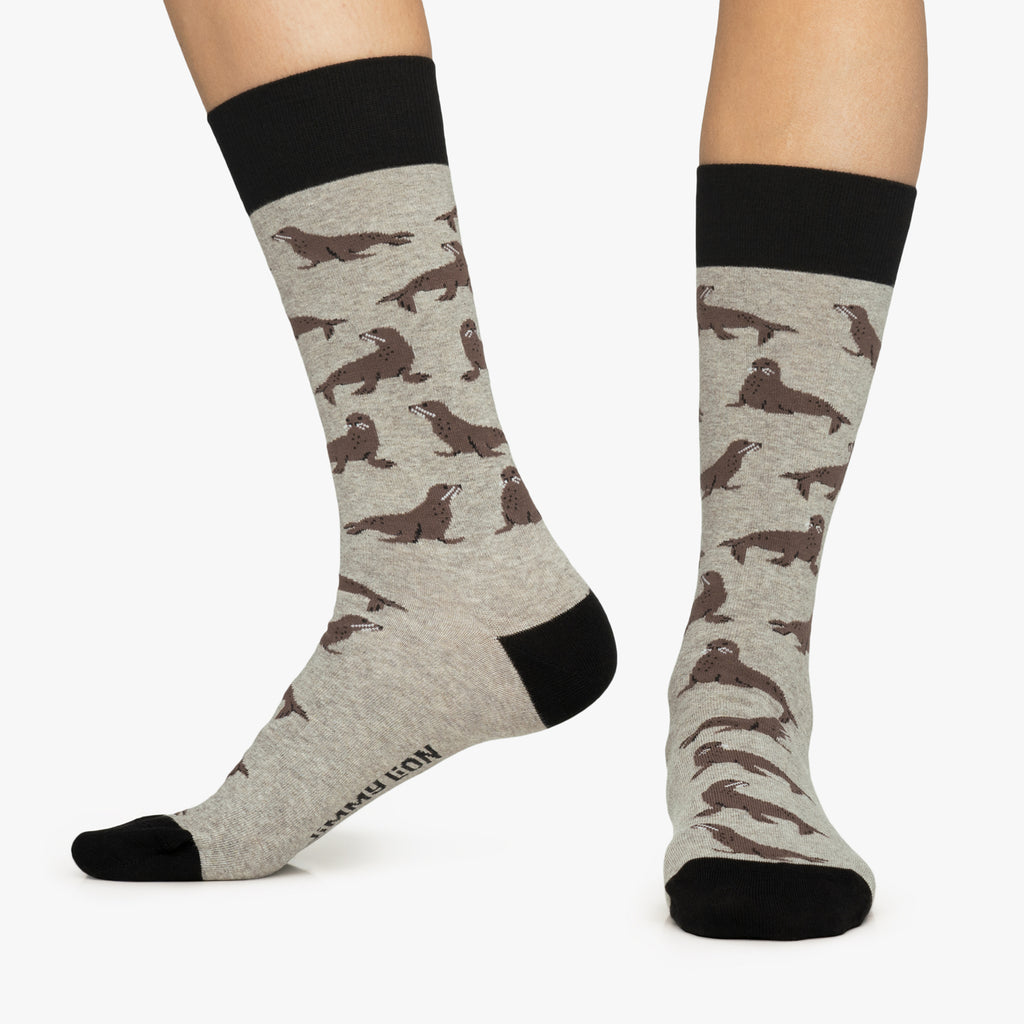 Seals - Grey (2)