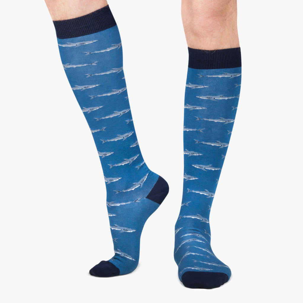KH Sharks - Blue (1)
