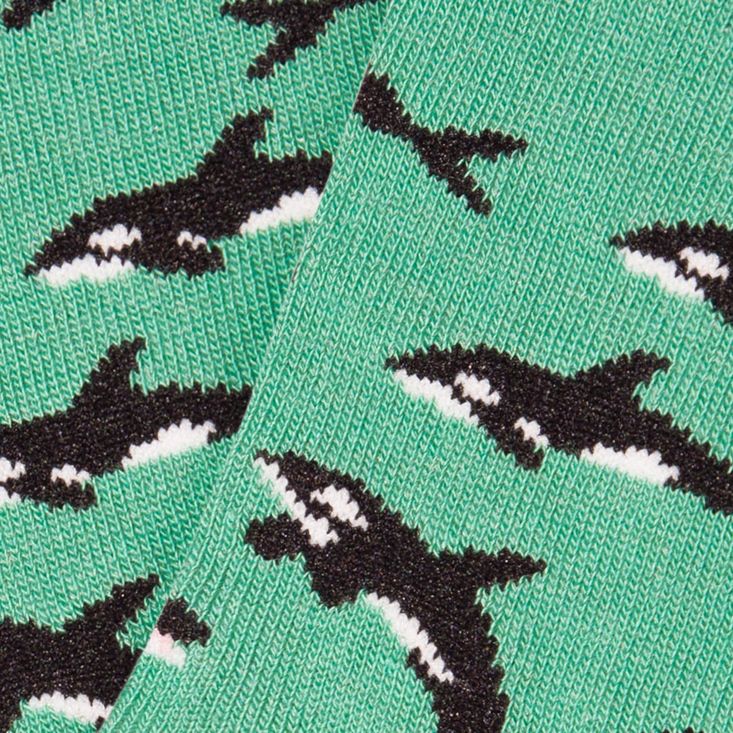 Kids Killer Whales - Turquoise (3)