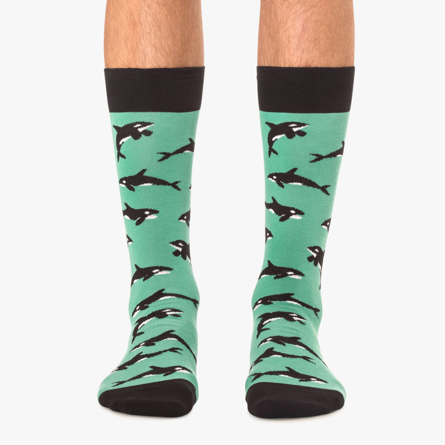 Killer Whales - Turquoise (1)